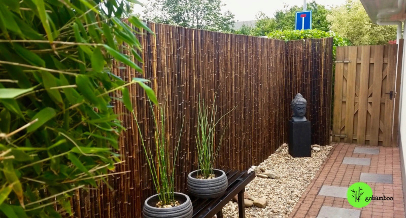 inspirace bambusový plot